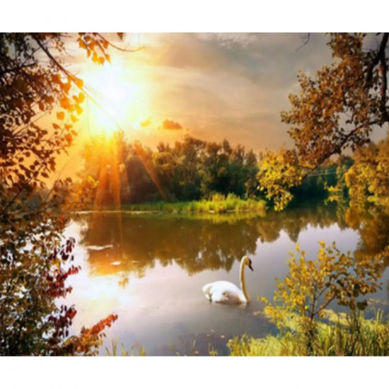Картина за номерами "Самотній лебідь" 40 * 50см, крас.-акрил, кисть-3шт. (5443Y_B)
