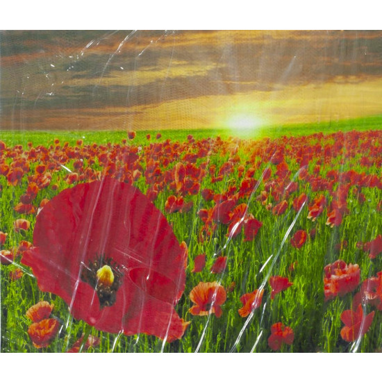 Картина за номерами "Маки" 40 * 50см, крас.-акрил, кисть-3шт. (5108_O)