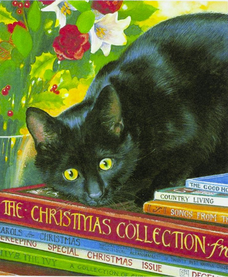 Картина за номерами "Чорний кіт" 40 * 50см, крас.-акрил, кисть-3шт. (8160)