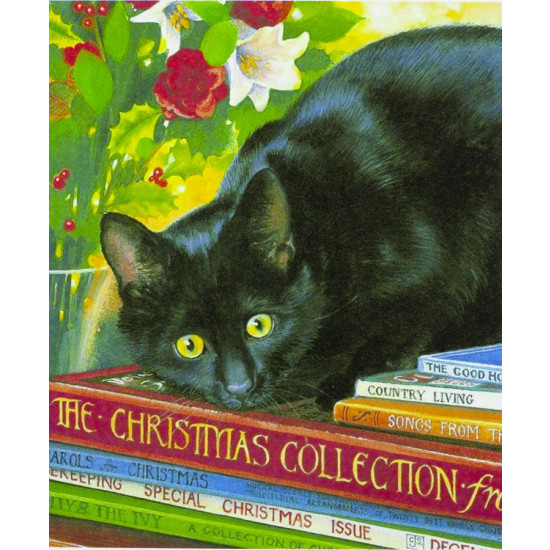 Картина за номерами "Чорний кіт" 40 * 50см, крас.-акрил, кисть-3шт. (8160)