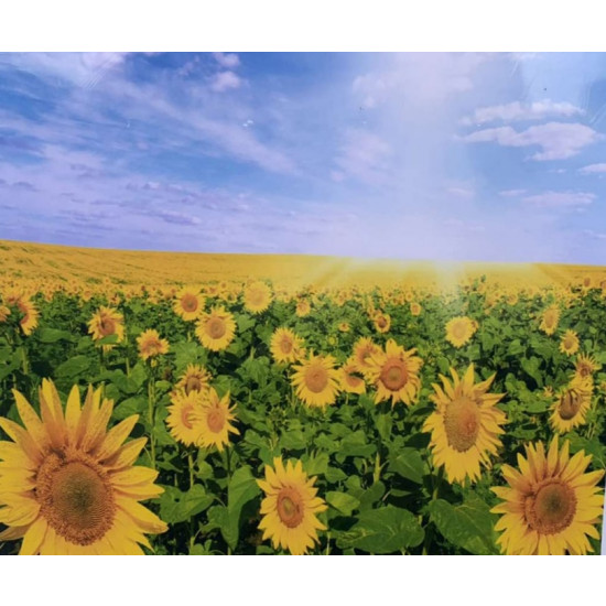 Картина по номерам 40 х 50см  "Поле подсолнухов" OPP Разноцветный Unison (8333RSB_O)