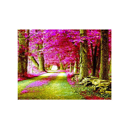 Картина за номерами "Дорога в лісі"40 * 50см, крас.-акрил, кисть-3шт. (RA3778)