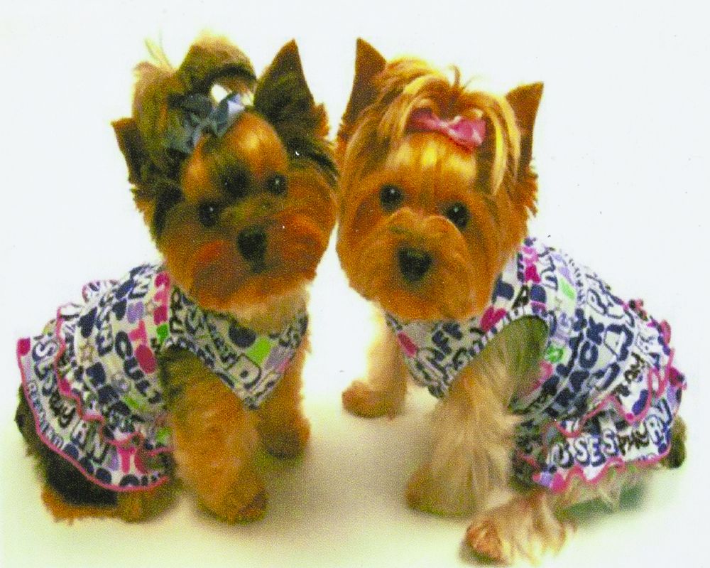 Алмазна мозаїка за номерами 30*40см "Два Йорки" у рулоні (71210 GB)