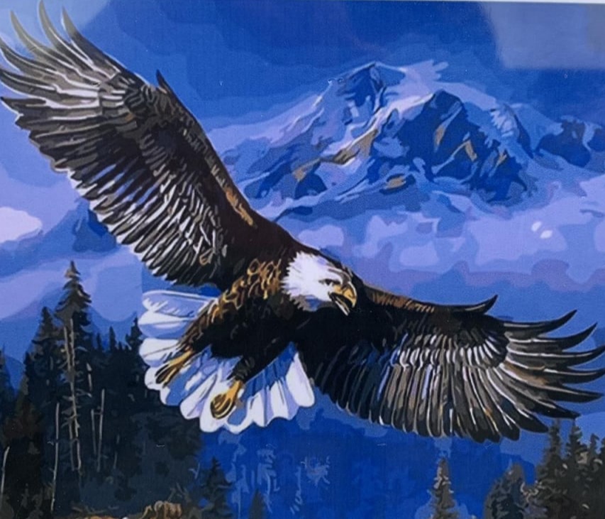 Картина за номерами "Орел" 40 * 50см,  OPP , крас.-акрил, кисть-3шт. (9442PH_O)