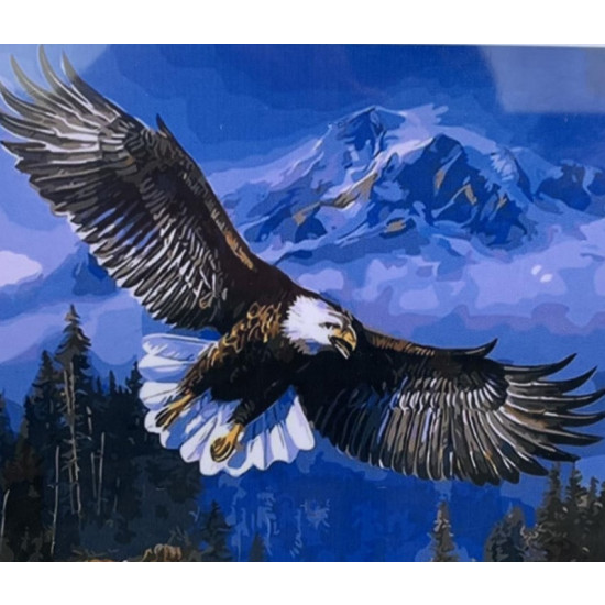 Картина за номерами "Орел" 40 * 50см,  OPP , крас.-акрил, кисть-3шт. (9442PH_O)