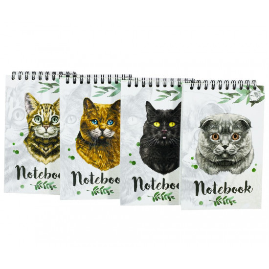 Блокнот А-6 "Коти" 80 сторінок, верхня пружина, клітинка (Бк 080вп)