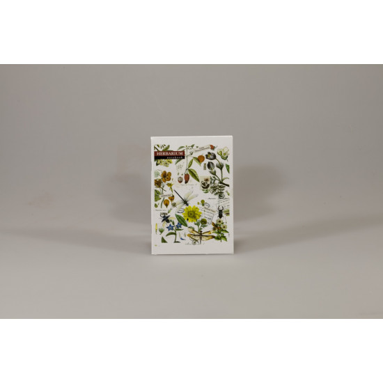 Записна книга А6 на скобі 36 аркушів клітинка, 3 дизайна (ЗК6636К)