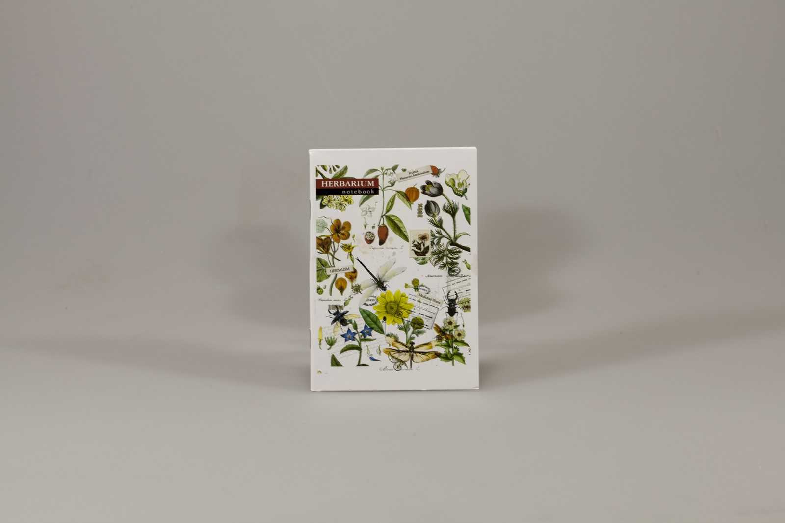 Записна книга А6 на скобі 36 аркушів клітинка, 3 дизайна (ЗК6636К)