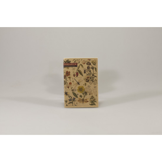 Книжка записна KRAFT А6, 36 аркушів клітинка, (центр. шов) CS6136K, 4 диз. Ofort (CS6136K)