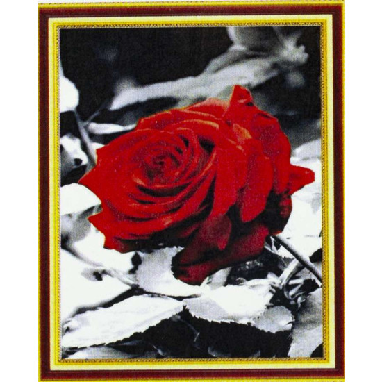 Алмазна мозаїка за номерами 20 * 30см "Червона троянда" в рулоні (20467-R)