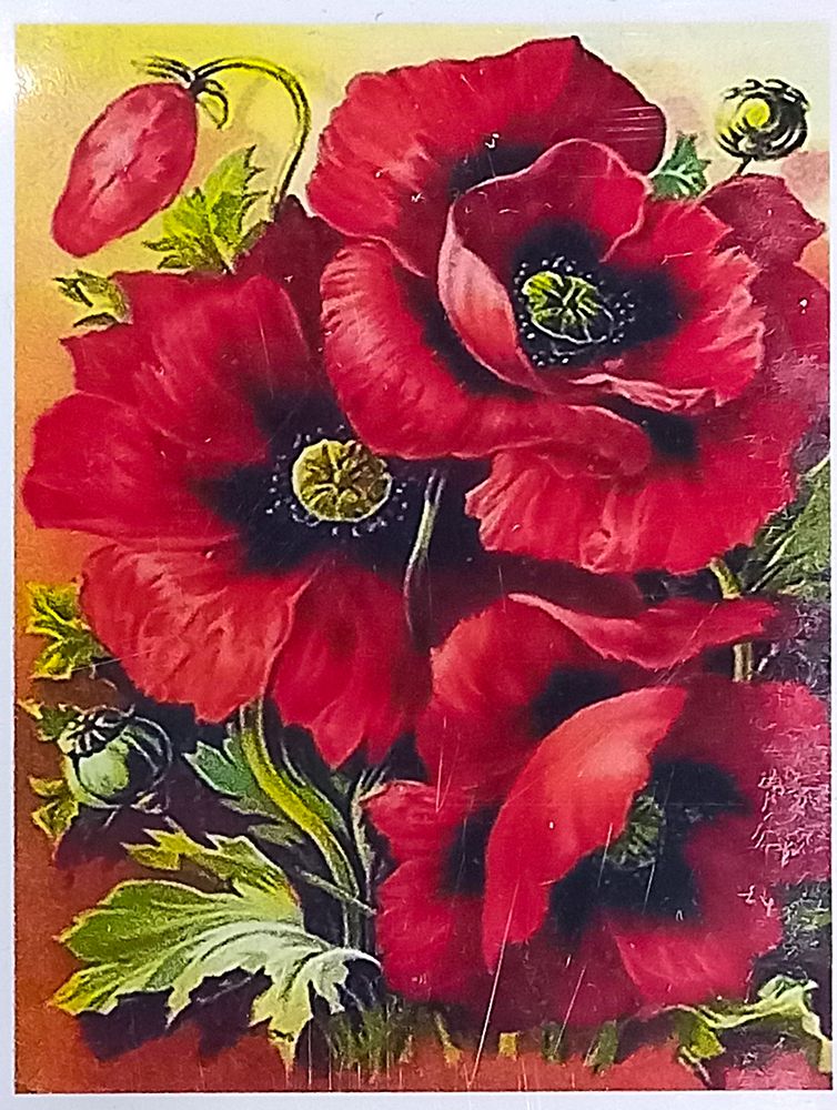 Алмазна мозаїка 30 х 40см "Маки" рулон у PVC (без підрамника) Різнокольоровий Unison (60622_O GLD)