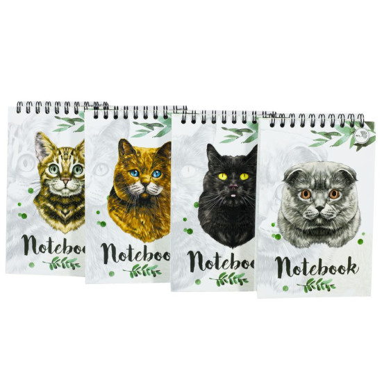 Блокнот А-6 "Коты" 80 страниц верхняя пружина, клетка (Бк 080вп)