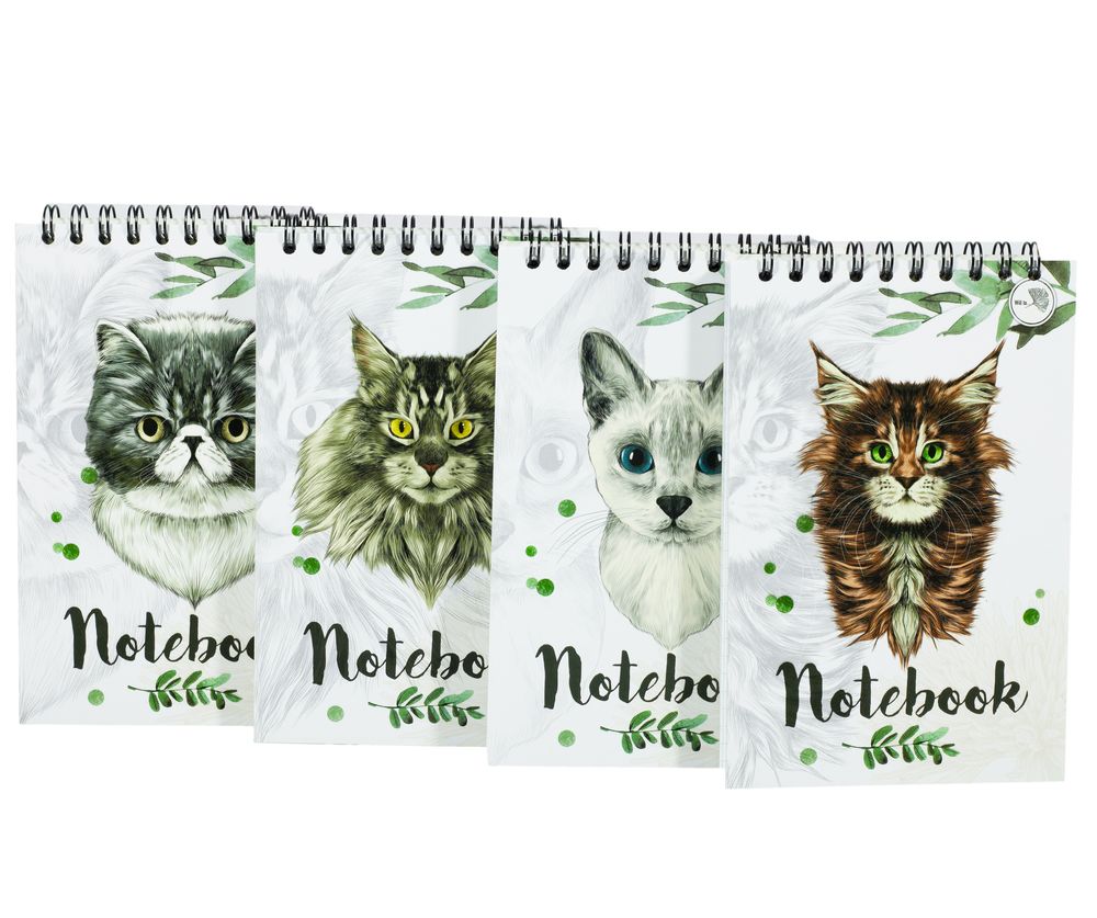 Блокнот А-6 "Коты" 80 страниц верхняя пружина, клетка (Бк 080вп)