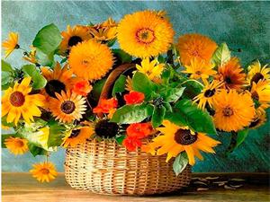 Алмазная мозаика   по номерам 30*40см "Солнечный букет" (GLD60753)