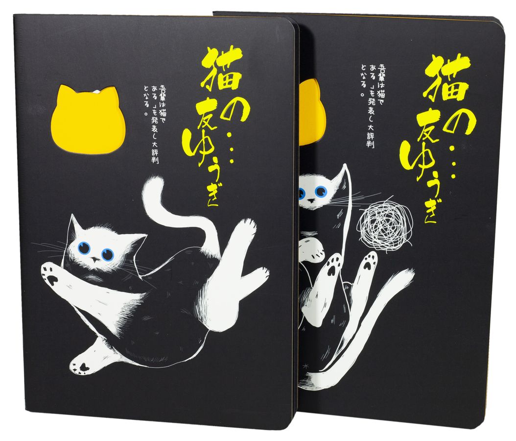 Блокноты-черные листы, обл. крафт, А5- 20 листов "Кот неон" (3202-04)