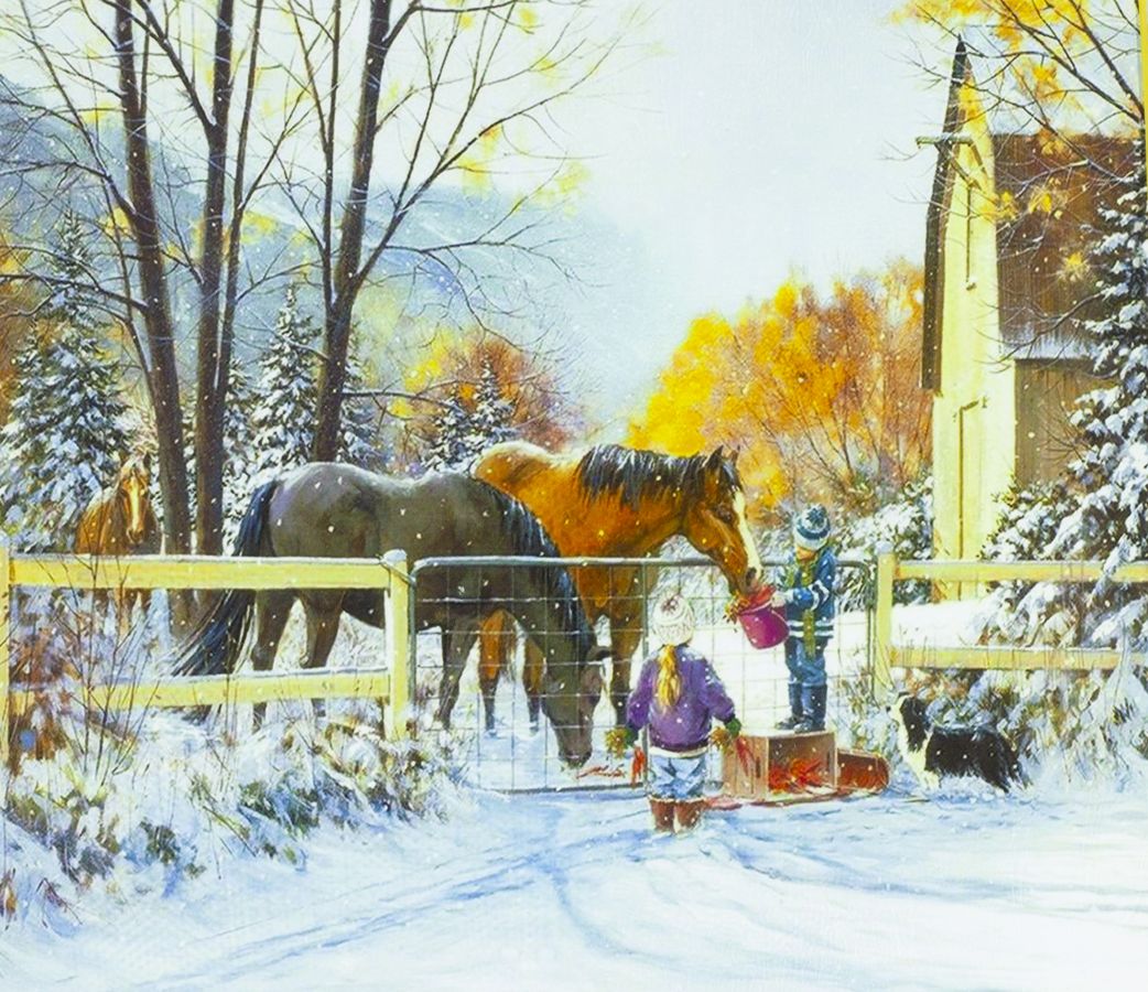 Холст-розмальовка під номерами 40*50см з набором фарб і пензликами 2 шт, з рамкою,  "Коні" (8300RSB_O)