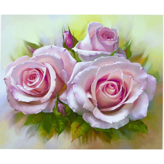 Картина по номерам "Розы крупно" 40*50см,крас.-акрил,кисть-3шт.(1*30) (3388)
