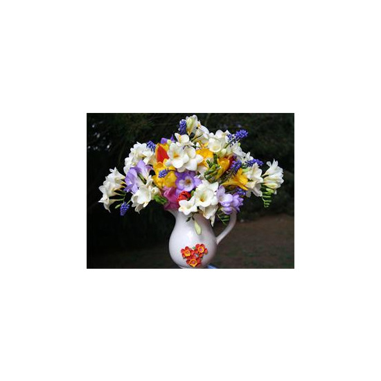 Картина по номерам "Букет" 40*50см,крас.-акрил,кисть-3шт (RA30513)