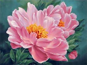 Картина по номерам "Пион" 40*50см,крас.-акрил,кисть-3шт (RA30430)