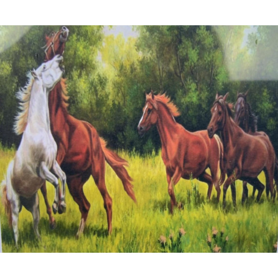 Картина по номерам 30*40см "Лошади" OPP (холст на раме краск. кисти. ) (1106EKTL_O)