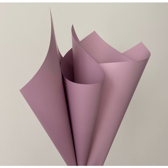 Плівка матова "Моно" 60 мкр, 58 х 58см - 20 листів (j00334 -06)