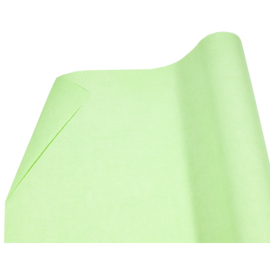 Бумага для упаковки подарков "двустороняя светло зеленый" Зеленый Unison (Пт 472.10)