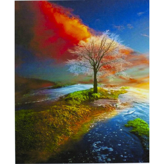 Картина по номерам "Капризы природы" 40*50см,крас.-акрил,кисть-3шт. (9218_B)