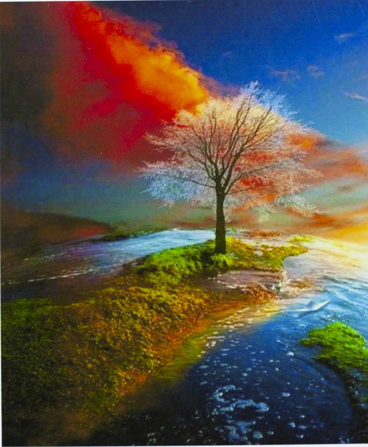 Картина по номерам "Капризы природы" 40*50см,крас.-акрил,кисть-3шт. (9218_B)