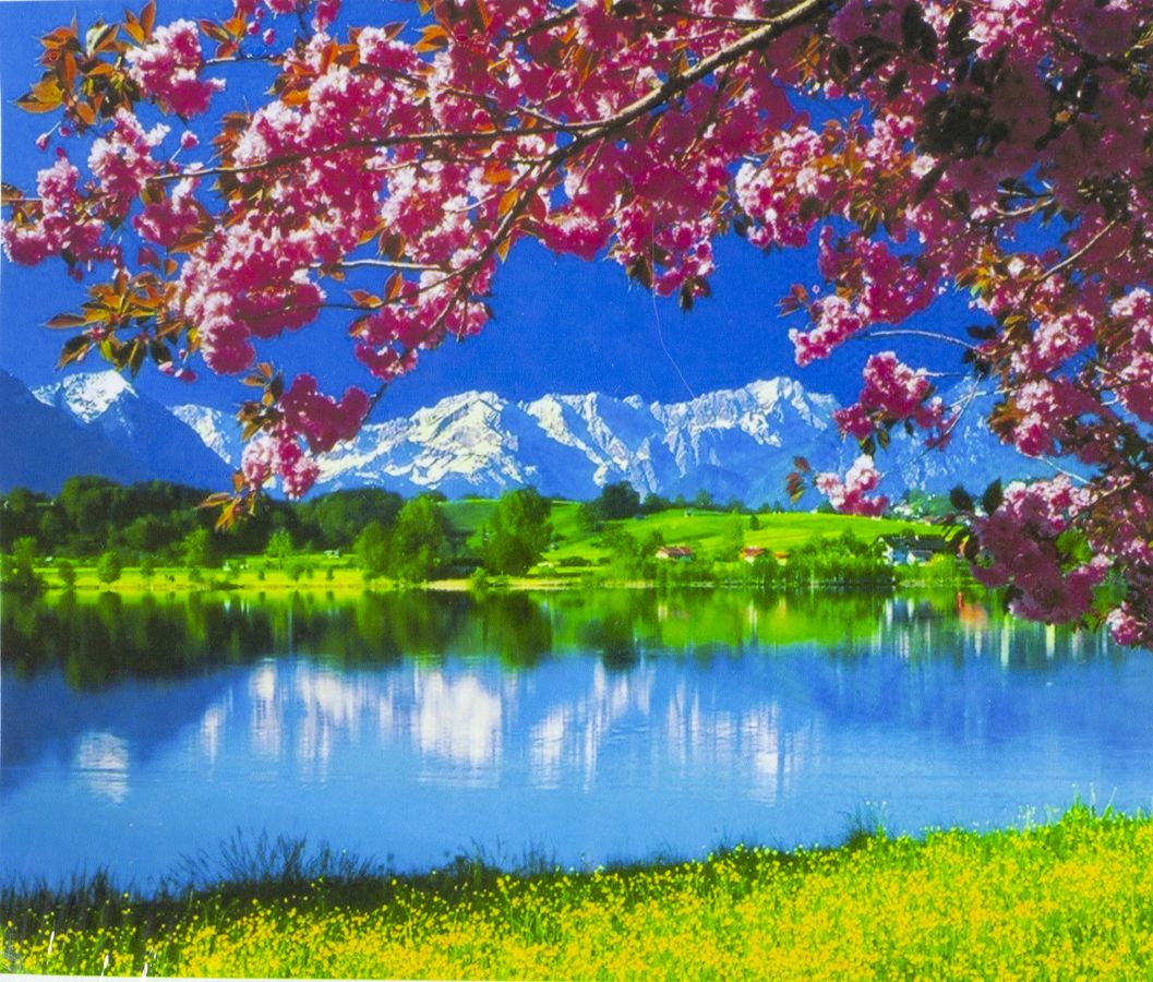 Картина по номерам 40х50см "Природа" OPP Разноцветный Unison (3307RA_О)