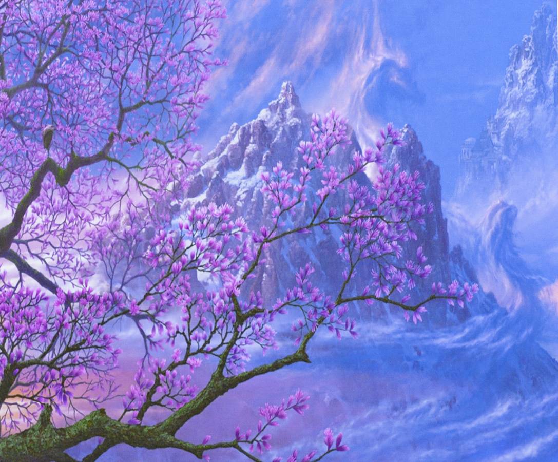 Картина по номерам "Цветущая сакура" 40*50см,крас.-акрил,кисть-3шт.(1* (3394)