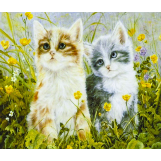 Картина по номерам "Котята в траве" 40*50см,крас.-акрил,кисть-3шт. (9414)