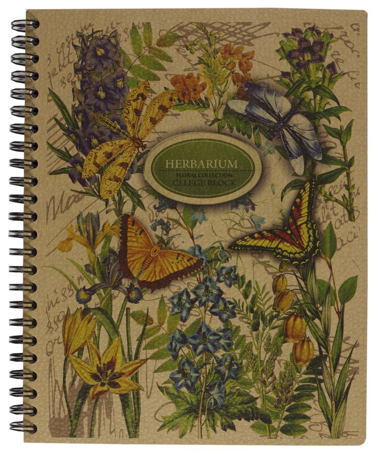 Коледж-блок KL5180K (KL5180K)