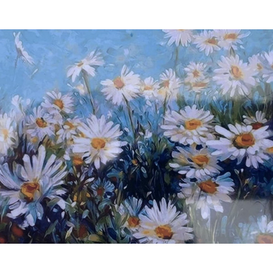 Картина по номерам 30*40см "Ромашки" OPP (холст на раме краск. кисти. ) (90EKTL_O)