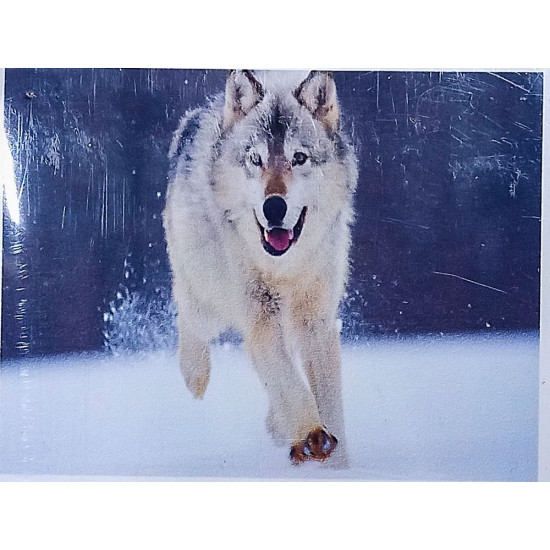 Алмазная мозаика 30 х 40см "Волк" рулон в PVC (без подрамника) Разноцветный Unison (60249_O GLD)