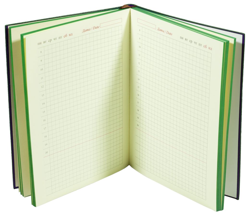 Ежедневник недатир. клетка бархат "Перо" А5, 160листов (1404-А5NK)