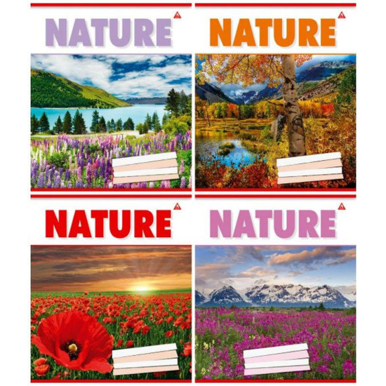 Тетрадь 48л в клетку Разноцветный Unison (Тр 007/959059)