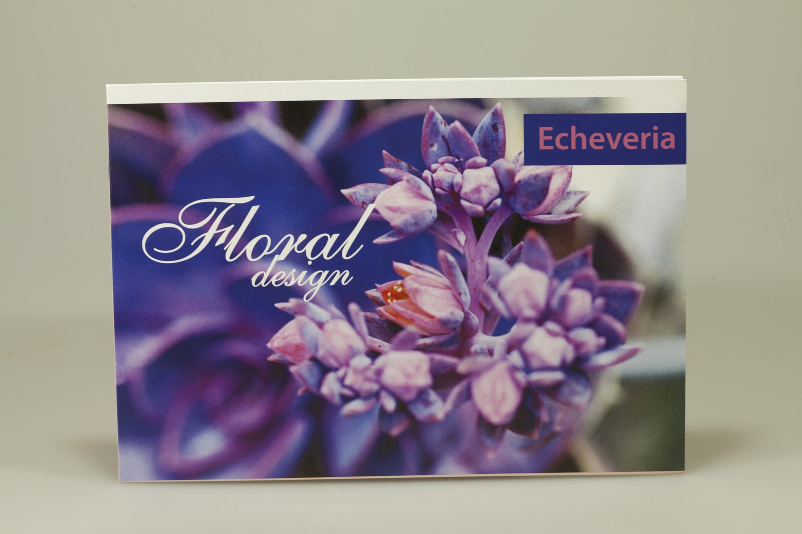 Альбомы для рисования 12л скоба (AA4212)