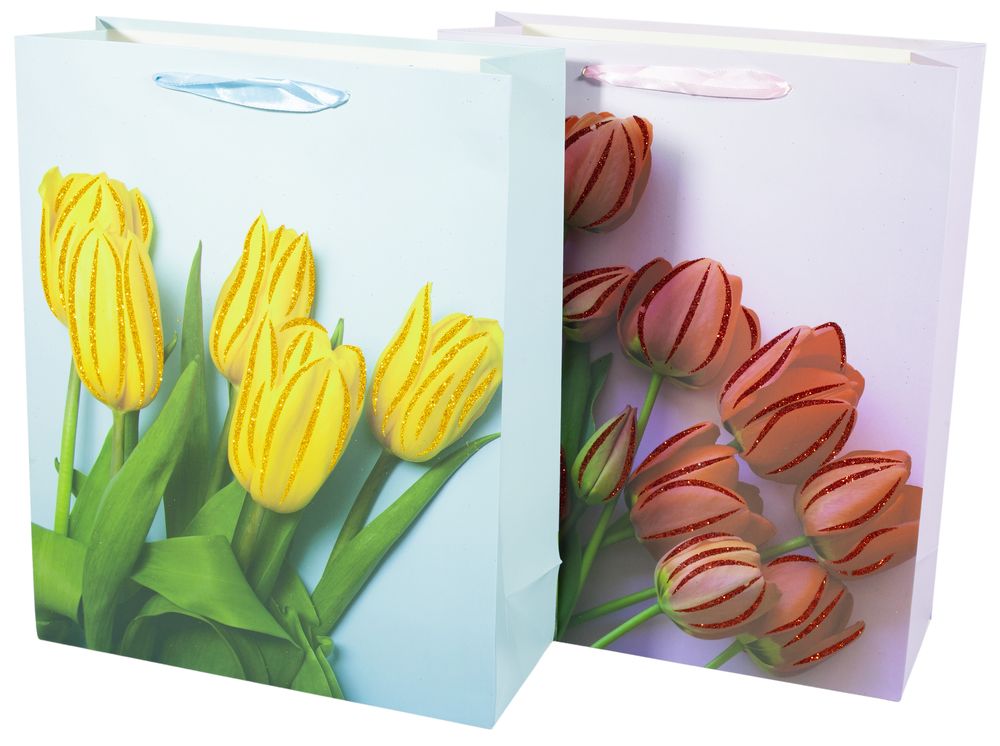 Пакет подарочный 210гр, 30 x 41,5 x 12см (12шт/уп) Разноцветный Unison (NO-00014-4L)