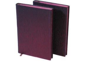 Ежедневник А5 14,5 х 21см клетка Красный Unison (Бк 703)