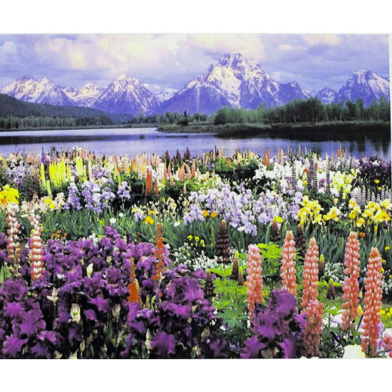 Алмазная мозаика  "Горные цветы" 30 х 40см Разноцветный Unison (60416GLD -70028)