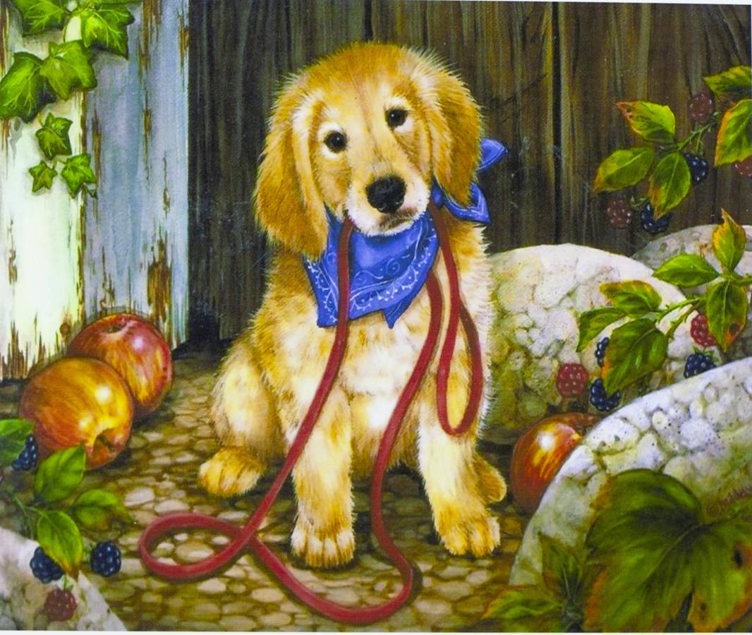 Картина по номерам "Рыжий пёсик" 40*50см,крас.-акрил,кисть-3шт.(1*30) (5088)