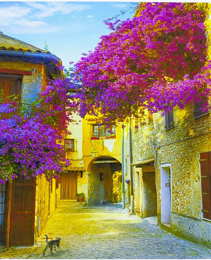 Картина по номерам "Прованс" 40*50см,крас.-акрил,кисть-3шт.(1*30) (5045)