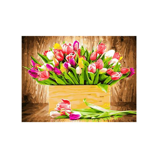 Картина за номерами "Тюльпани" 40 * 50см, крас.-акрил, кисть-3шт. (RA3694)