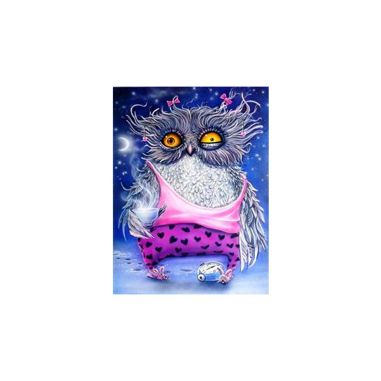 Картина по номерам "Сова хулиганка" 40*50см,крас.-акрил,кисть-3шт (RA30358)