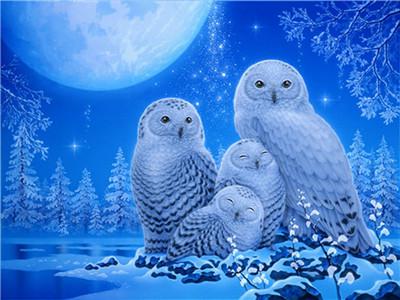 Картина по номерам "Полярные совушки" 40*50см,крас.-акрил,кисть-3шт. (RA3838)