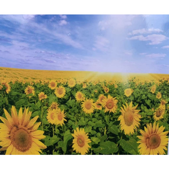 Картина по номерам 40 х 50см  "Поле подсолнухов" OPP Разноцветный Unison (8333RSB_O)