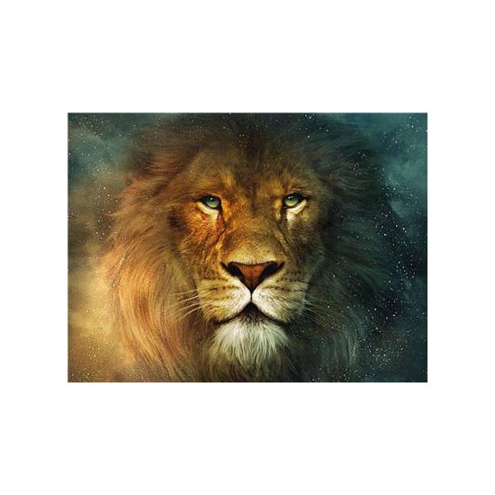 Картина за номерами "Лев"40 * 50см, крас.-акрил, кисть-3шт. (RA3795)