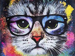 Картина по номерам "Кот в очках" 40*50см,крас.-акрил,кисть-3шт (RA30793)