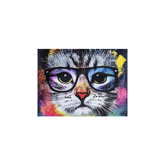 Картина по номерам "Кот в очках" 40*50см,крас.-акрил,кисть-3шт (RA30793)