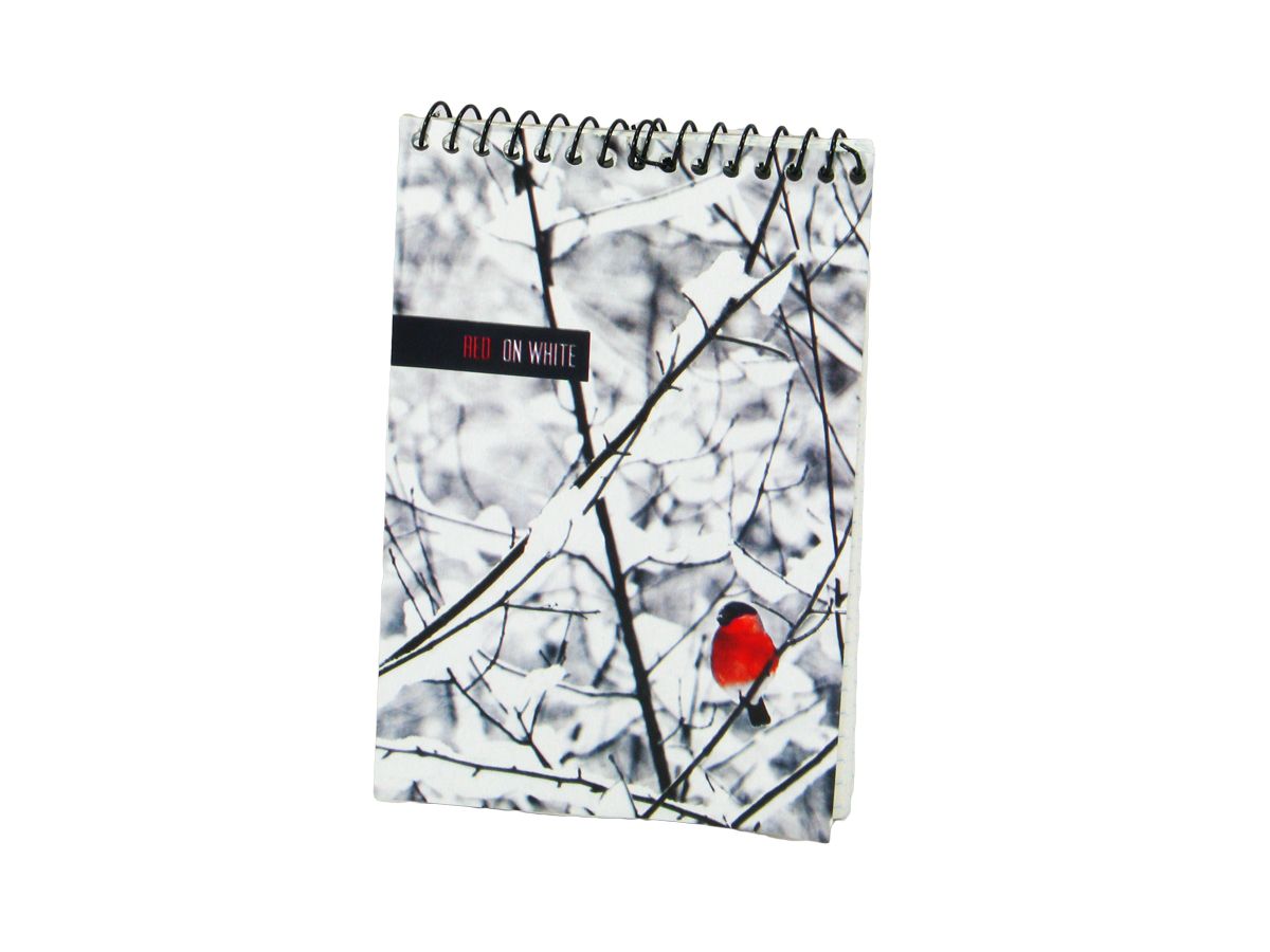 Блокнот на спирали "каньон" А6 (A6 - 80)